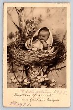 c1935 Baby In Egg Congratulations On The Joyful Occasion Vintage Postcard 0944 picture