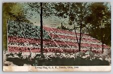 1908 Patriotic Living American Flag G.A.R. GAR Toledo OH Ohio Postcard July 4th picture