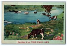 c1910's Greetings From West Union Ohio OH Unposted Antique Cows Postcard picture