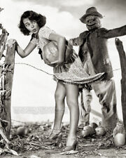 Vintage 1940s Gloria Saunders Halloween Pin-Up Photo - Pumpkin Thief - Scarecrow picture