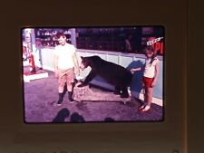 SLIDES x175 Vintage 1965 -66 Color Travel Canada Yellowstone Puppies Cars Bears picture