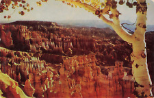Bryce Canyon National Park UT Utah, Sunset Point Scenic View, Vintage Postcard picture