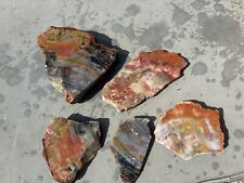 Large Lot Of Cut Arizona Petrified Wood 5+ Pound Lot Great Color. Not Polished picture