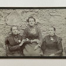 Antique Cabinet Card Photograph Lovely Women Sisters Mother Mourning Brooch Wall picture