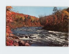 Postcard Moose River Central Adirondack Mountains New York USA picture