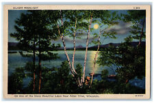 c1940's Silvery Moonlight Lake Near Arbor Vitae Wisconsin WI Vintage Postcard picture