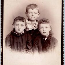 c1890s Reading, PA Cute Siblings Boy Girls Big Cute Eyes Cabinet Card Photo B14 picture