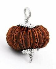 Authentic 18 Mukhi Rudraksha Collector's Bead - Lab Certified (A++) Size picture