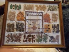 Large 16 Color Navajo Dye Chart attributed to Judith Myers. picture