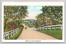 Postcard High In The Pocono's Pennsylvania c1920 picture
