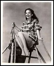 Brilliant Beauty ANN BLYTH STYLISH POSE 1950s CHEESECAKE LEGS ORIG PHOTO 513 picture