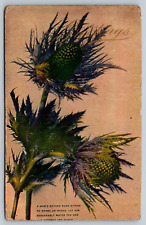 A man's nature runs either to herbs or weeds postcard picture