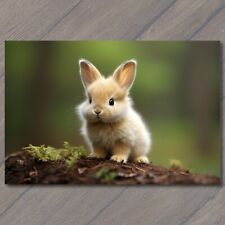 POSTCARD Sweet Baby Bunny Bliss - Adorable Joy in Every Hop picture