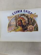 Indian Chief Cigar Label  c1910 -- Esonia Chief - 9 x 6 in - Genuine Original  picture