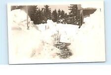 Path to Skyline Hogback Mountain Molley Stark Trail Route #9 VT Postcard D50 picture