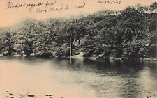 Boat Landing, Bronx River, NYC New York Vintage PC Posted 1908 picture
