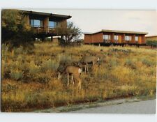 Postcard Far View Motor Lodge Mesa Verde National Park Colorado USA picture