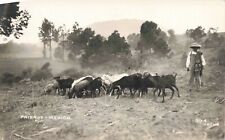 Paisaje Mexico goats goat herder Osuna RPPC post card PC 1.16 picture