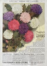 1913 AD.(XH5)~VAUGHAN’S SEED STORE, CHICAGO. GIANT BRANCHING ASTERS AD. picture