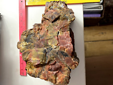Petrified Wood Dark Brown Red Green Home Indoor Decoration Approx. 17 lbs. picture