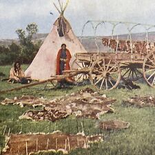 Antique 1899 Sioux Chief Drying Beaver Pelts Stereoview Photo Card P580-066 picture
