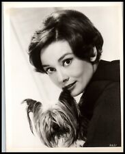 SUPERB AUDREY HEPBURN & HER YORKIE DOG 1958 NUN STORY ORIG PORTRAIT Photo 701 picture