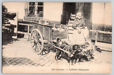 Antique Postcard~ Flemish Milkmaid~ Dog Pulled Cart~ Brussels, Belgium picture