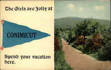 Conimicut Rhode Island RI Pennant Flag c1910 Vintage Postcard picture
