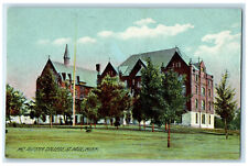 c1910 Mc Allister College St. Paul Minnesota MN Unposted Antique Postcard picture