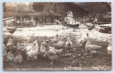 Postcard RPPC Greenfield OH Child In Antique Wagon Chicken Yard Wornstaff Family picture