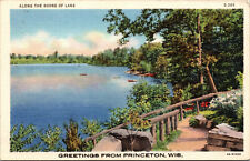Vtg 1930s Along the Shore of Lake Greetings from Princeton Wisconsin WI Postcard picture