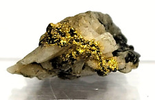 NATURAL GOLD VEIN Specimen IN QUARTZ 2.2 grams total👀BUY IT NOW picture