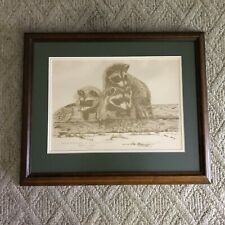Young Raccoon Signed Print Mitchell's Glen Green Lake WI Rollie Kolb 1972 Vtg picture