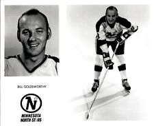 PF6 Original Photo BILL GOLDSWORTHY 1967-77 MINNESOTA NORTH STARS NHL RIGHT WING picture
