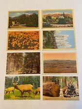 8 Vintage California Postcards Redwood Mohave Picking Oranges Old Lot Antique CA picture