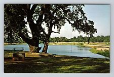 Anderson CA-California, Scenic View River Park, Vintage Postcard picture