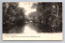 Stockbridge, MA-Massachusetts, Looking Down Mousatonic River, Vintage Postcard picture