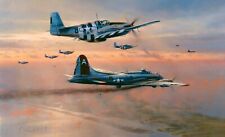 Bringing the Peacemaker Home by Robert Taylor signed by Mustang & B17 Pilots picture