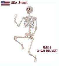 NEW 84inch Full Body Poseable Titan SKELETON Prop Halloween Decor Human Anatomy picture