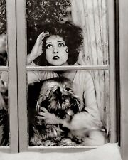 CLARA BOW Peering Through Window with Pet Dog Photo   (226-F) picture
