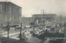 Tobacco Crop Being Delivered Henderson Kentucky KY 1908 Postcard picture