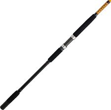 Bigwater Spinning Fishing Rod picture