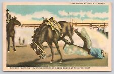 Cowboy Leaving Bucking Broncho Rodeo Cheyenne Wyoming Vintage Linen Postcard picture