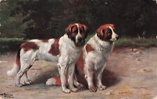 Artist Signed Alfred Schonian Two St. Bernard Dogs Vintage Postcard 1908 picture