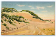 c1950's Sand Dunes Cape Cod Buzzards Bay Massachusetts MA Vintage Postcard picture