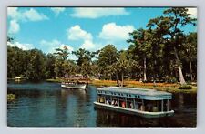 Silver Springs FL- Florida, Scenic Boat View, Antique, Vintage Souvenir Postcard picture