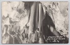 RPPC New Mexico Carlsbad Caverns Elephant Ear c1920 Real Photo Postcard picture