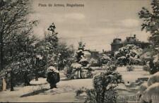 Chile Magallanes Plaza de Armas,magallanes Postcard Vintage Post Card picture