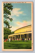 Berkshires MA-Massachusetts, Tanglewood Music Shed, Antique Vintage Postcard picture