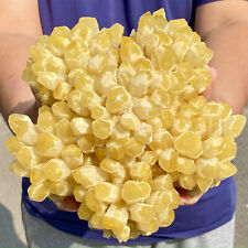 6.93LB Beautiful yellow Phantom Quartz Flower Crystal Cluster Mineral Sample picture